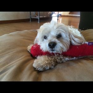 Meet your Posher, Vicki